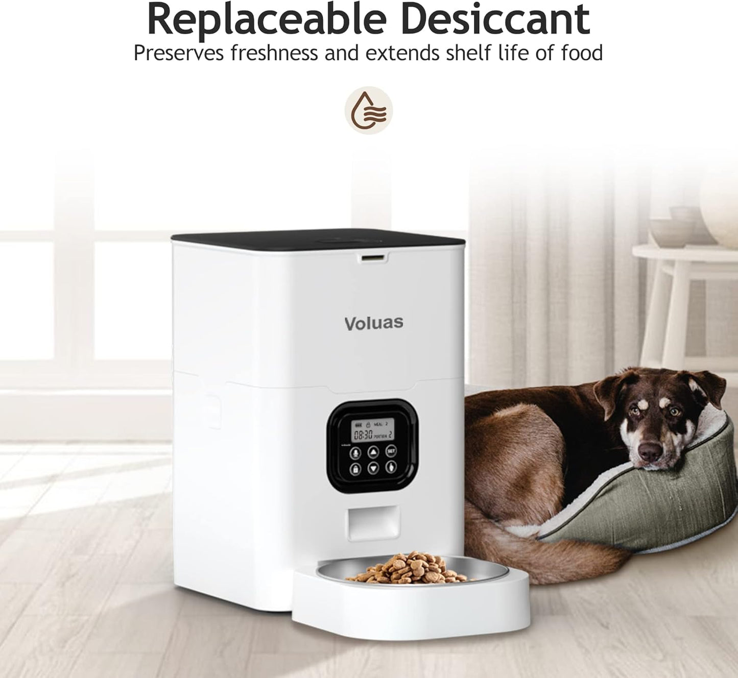 Automatic Cat Feeders - Timed Pet Feeder for Cats and Dogs with Dry Food Dispenser, Desiccant Bag, Programmable Portion Control, 4 Daily Meals, 10s Voice Recorder