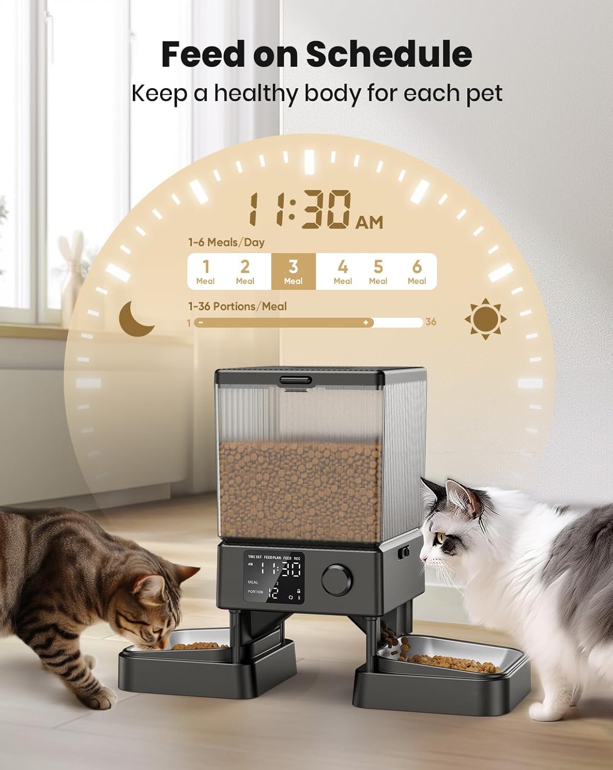 Automatic Cat Feeder for 2 Cats,  Automatic Cat Food Dispenser for Small Pets Indoor, Timed Cat Feeder for Dry Food