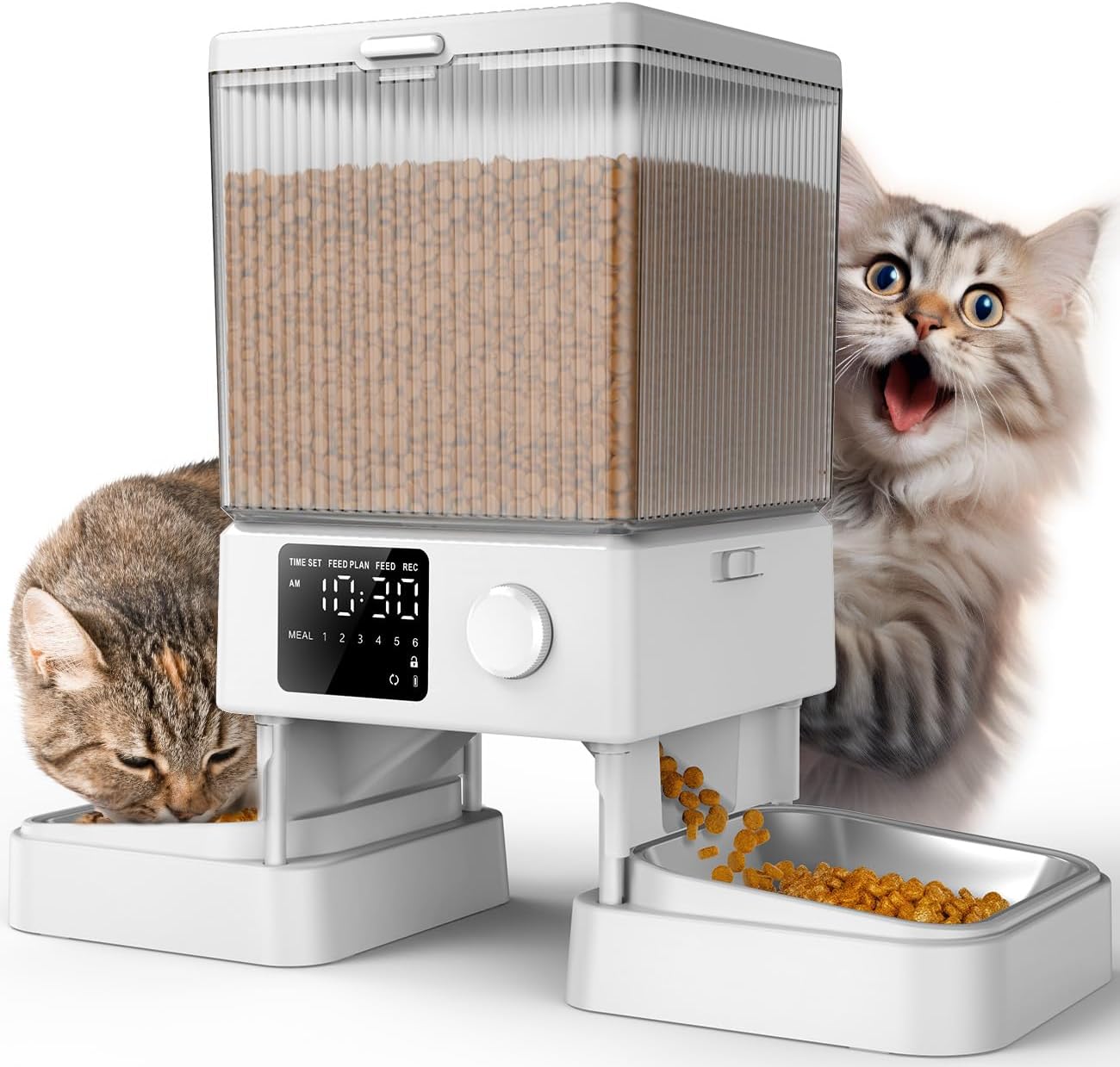 Automatic Cat Feeder for 2 Cats,  Automatic Cat Food Dispenser for Small Pets Indoor, Timed Cat Feeder for Dry Food