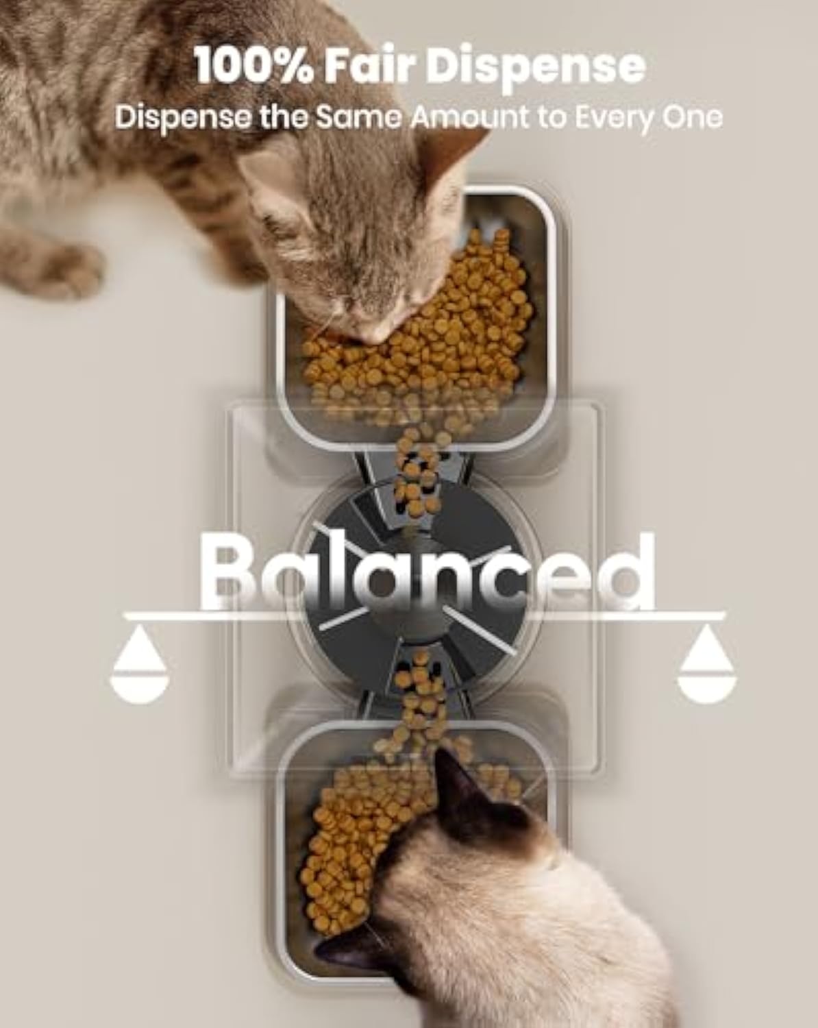 Automatic Cat Feeder for 2 Cats,  Automatic Cat Food Dispenser for Small Pets Indoor, Timed Cat Feeder for Dry Food