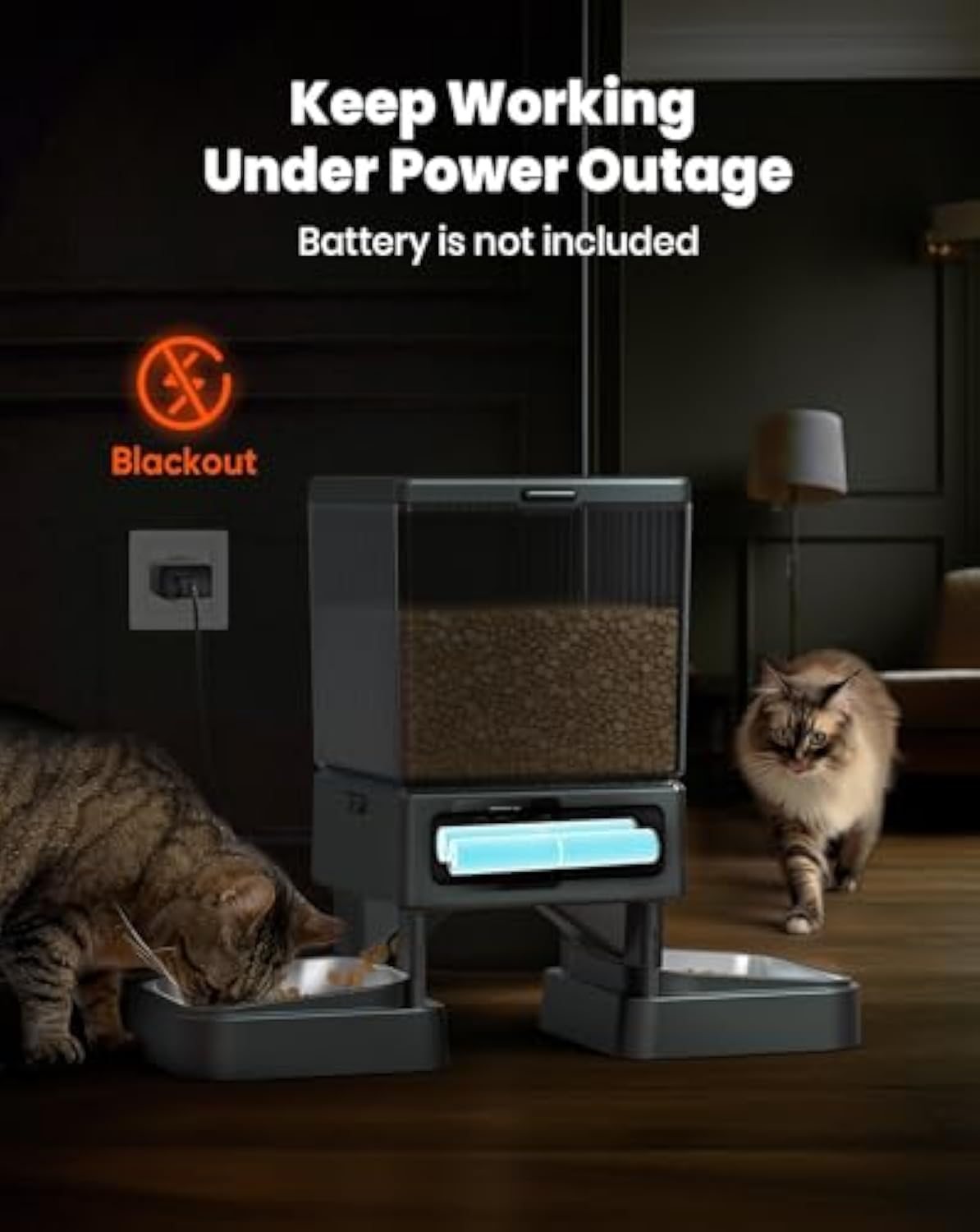 Automatic Cat Feeder for 2 Cats,  Automatic Cat Food Dispenser for Small Pets Indoor, Timed Cat Feeder for Dry Food